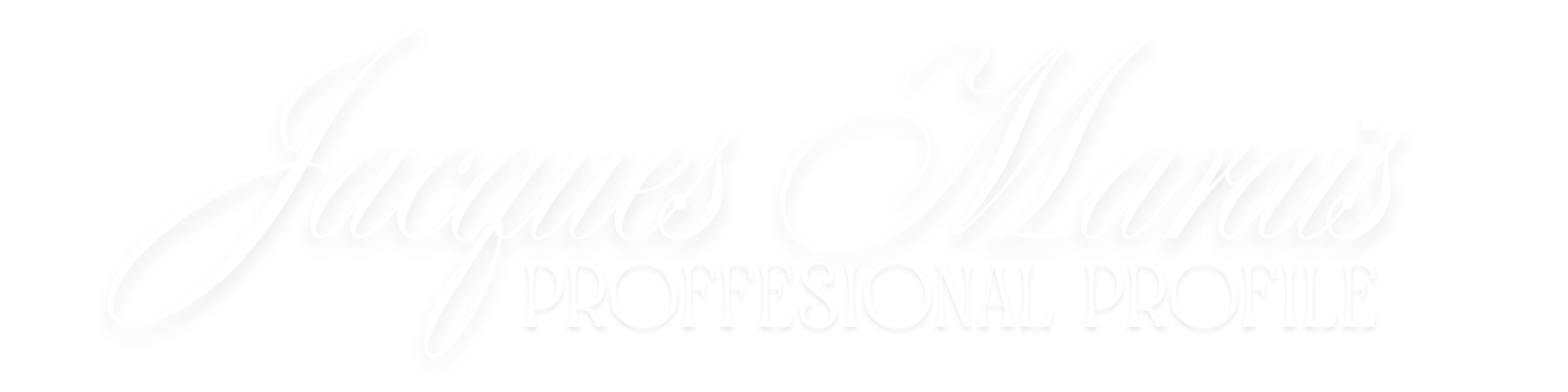 Professional LinkedIn Banner (2)